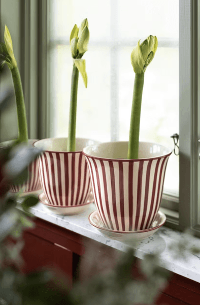 Str&ouml;mshaga Krukke Miriam 22 cm R&oslash;d