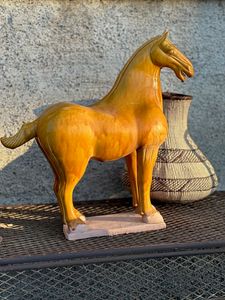 Hovedbilde Annuzza Gul Hest stor