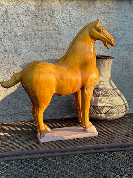 Annuzza Gul Hest stor