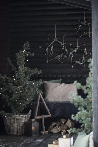 Ib Laursen Juletre/cedertre 