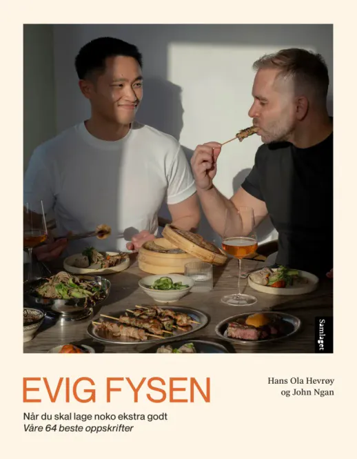 Hovedbilde Evig fysen