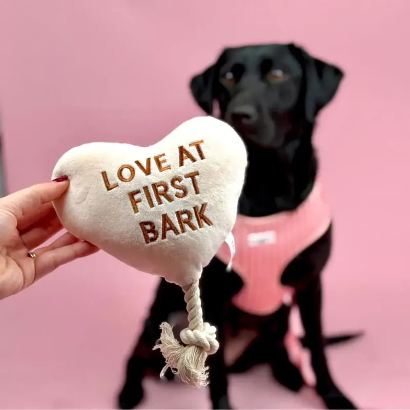 Love At First Bark Dog Toy