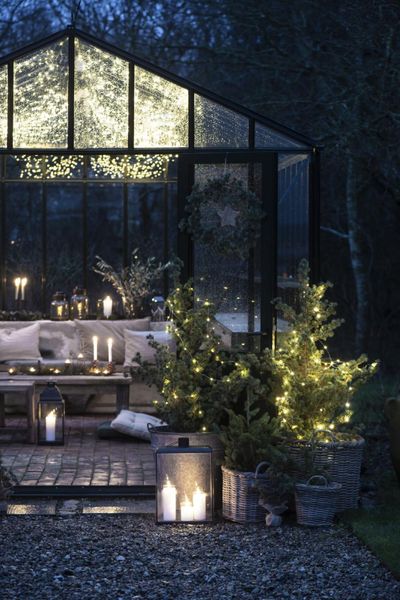 Ib Laursen Juletre/cedertre 