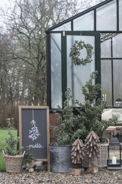 Ib Laursen Juletre/cedertre 