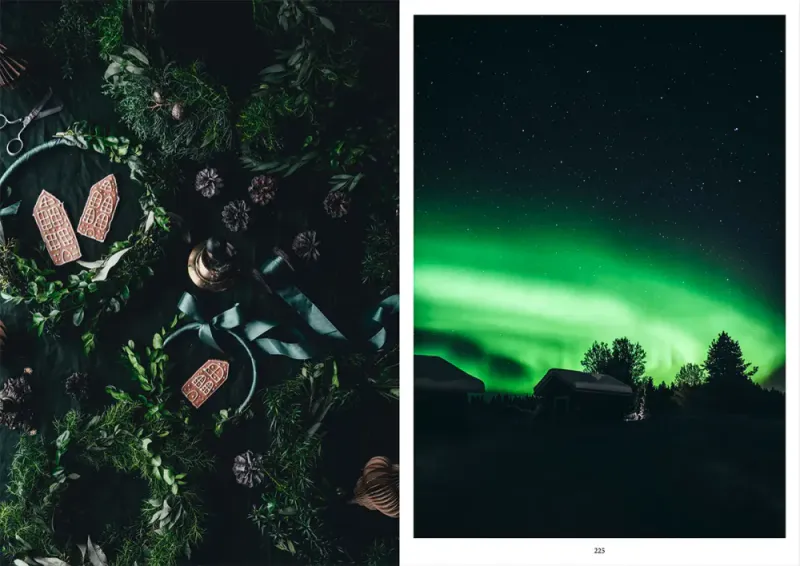 Nordic Winter Cookbook, Viola Minerva Virtamo