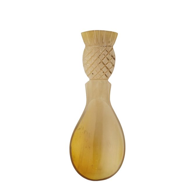 Hovedbilde Ayanna Skje horn
