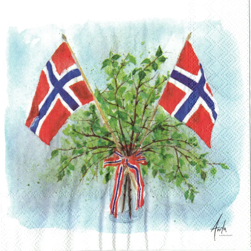 Ihr servietter 17. Mai Stemning