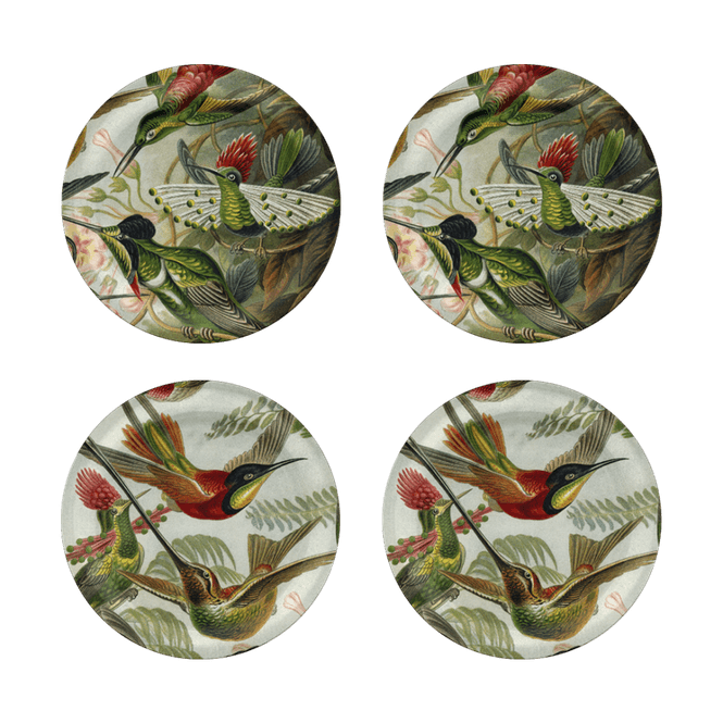 Hovedbilde Coaster/glassbrikke 4pk. Hummingbirds