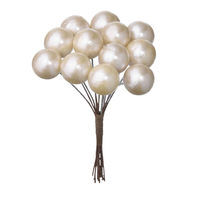 Hovedbilde Dekorbær Snowberry pearl